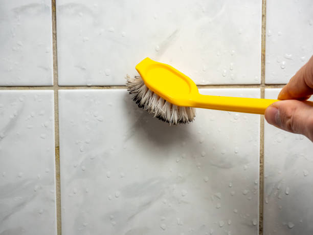Kitsap Lake, WA Mold Removal Company