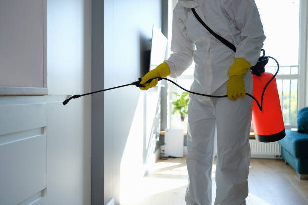Best Residential Mold Removal  in Kitsap Lake, WA